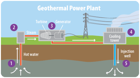 This diagram shows the major parts of a geothermal power plant. Numbers on the diagram correspond with the steps listed on the page.