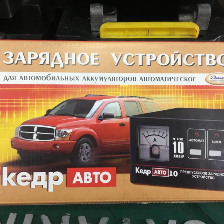 Кедр цвет авто.