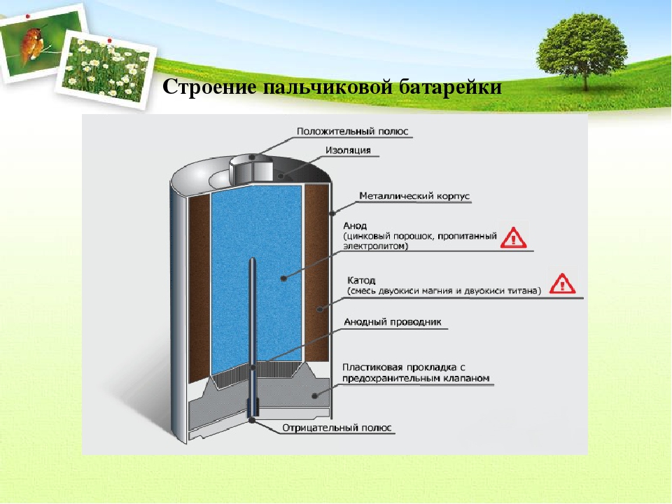 Батарейка в разрезе картинки